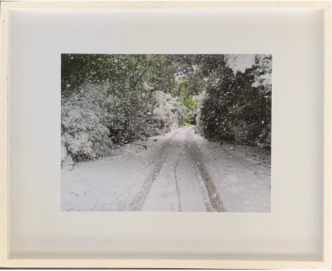 Peter Liversidge, 'Midsummer Snowstorm', 2009, digital photographic print, limited edition 4/7, bears label for Ingleby Galle