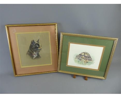 Pam Coombes, a Pair of Pastel Paintings, one depicting a tortoise named 'Rici', signed to left, glazed and framed, approx 44 