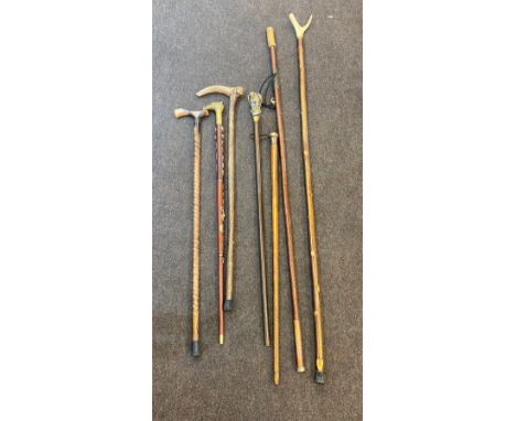 Large selection of vintage and later walking stick 