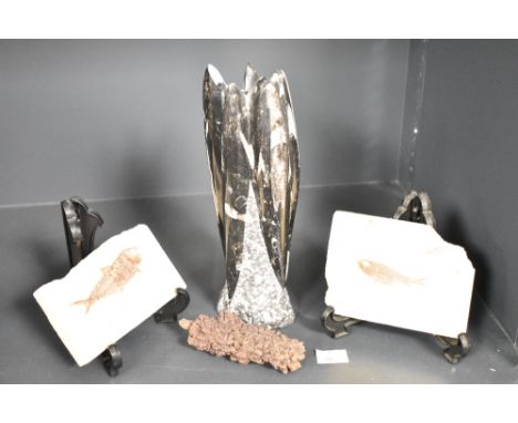 Natural History - A group of fossil specimens, to include two fish specimens, dinosaur dung and a orthoceras fossil tower, (4