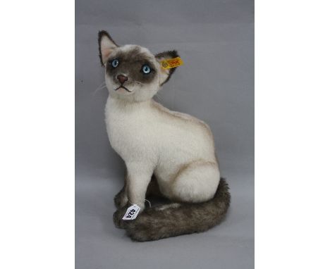 A STEIFF SIAMESE CAT, sitting, No.074264, with button in ear and orange label, height approximately 33cm (with a box)