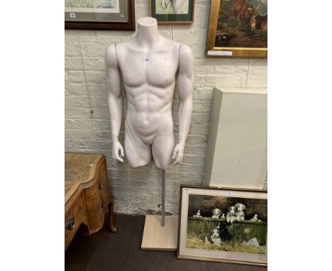 Male torso mannequin.