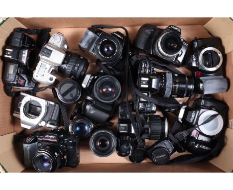 A Tray of Minolta AF Cameras, models include Dynax 700si, Dynax 7000i, Dynax 3000i (2),  Dynax 404i, X-300s, 7000, 5000, with