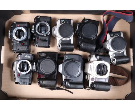 A Tray of SLR Camera Bodies, comprising a Ricoh KR-10, Miranda M5-3, a Chinon CM-5, a Canon EOS 100, EOS 500n, EOS 600, EOS 1