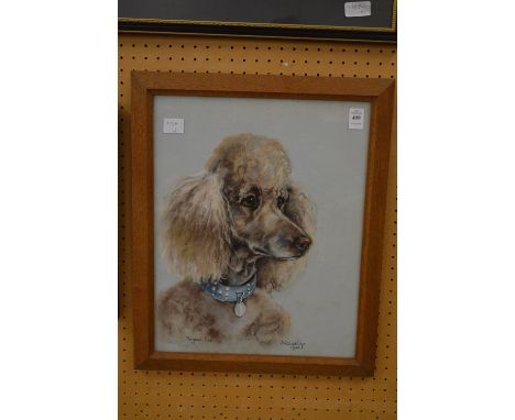 Marjorie Cox, Nooky, pastel portrait of a poodle, signed and dated 1961.