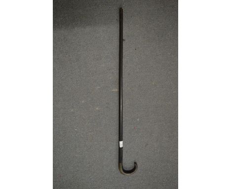 A walking stick.