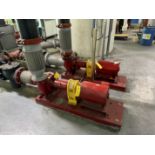 Patterson Pumps, Model# E4R9A-2, 860 GPM, Qty 2, Rigging/ Loading Fee: $400