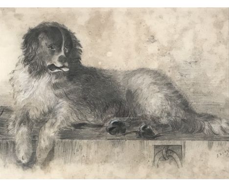J*** Hodgson (19th Century) Pencil and chalk study of a recumbent spaniel, dated 1888, framed and mounted under glass, 32 x 4