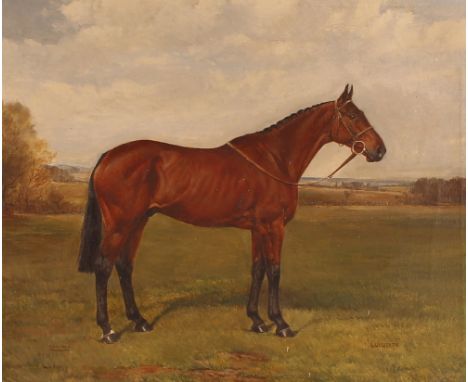R. Anscome, Newmarket, study of the horse "Culworth", signed oil on canvas, 48cm x 58cm