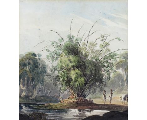 William Prinsep (1794-1874) A bamboo clump; A Peepal tree A pair, both signed with initials and inscribed verso Both watercol
