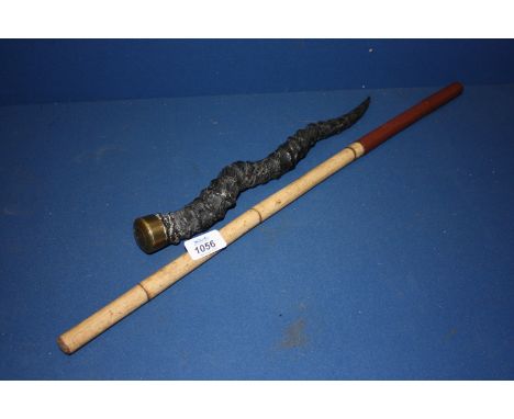 A Swagger Cane together with hollow animal Horn/powder Flask with gilt end