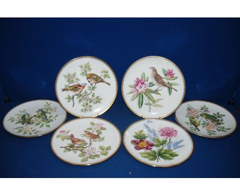 A quantity of six Spode plates from 'The Studies of Garden Birds' collection to include a Thrush, Chaffinch etc.,