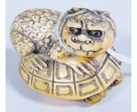 SHI-SHI ON TURTLE NETSUKE. Ivory Shi-Shi on turtle netsuke, H - 3cm