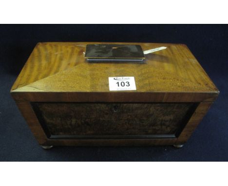 19th Century mahogany and burr elm sarcophagus shaped tea caddy with panelled front on bun feet. 30.5cm wide approx. (B.P. 24