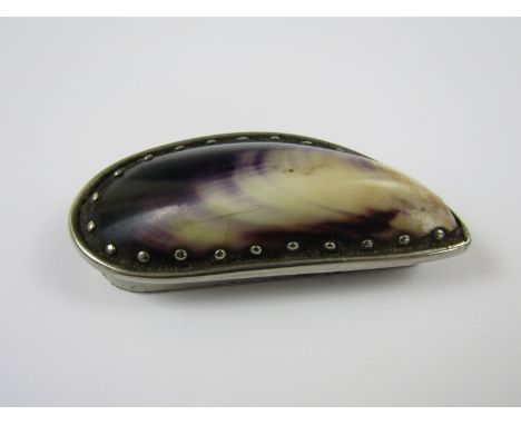A 19th Century pocket snuff box fabricated from a polished mussel shell