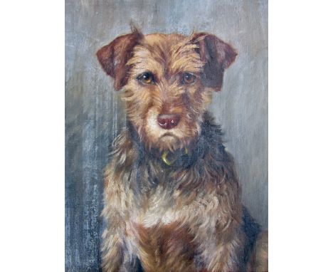 L*** Shaw (19th Century) Portrait of a Border Terrier, the dog gazing intently out of the picture plane, oil on canvas, signe