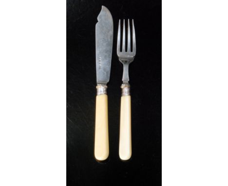 A set of twelve hallmarked silver bone handled fish knives and forks, Birmingham 1902, Elkington & Co, one knife missing, tog