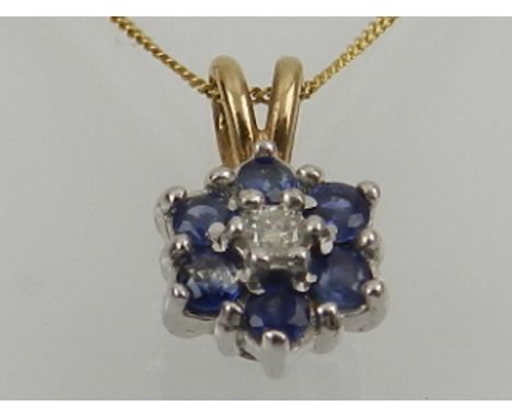 A 9 carat yellow gold and sapphire floral cluster pendant, on a yellow gold chain. 
