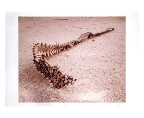 Simon Norfolk (b.1963), 'Track of Destroyed Taliban Tank' November 2001 - from the 'Afghanistan: Chronotopia' series, signed 