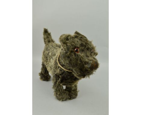 A CHAD VALLEY TERRIER, two tone black/grey, glass eyes, vertical stitched nose, Hygenic Toys label to inside top of left back