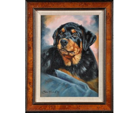 John Tricket
(b.1952-)
PORTRAIT OF A ROTTWEILER
signed
oil on canvas
34.5 x 24cms; 13 1/2 x 9 1/2in.