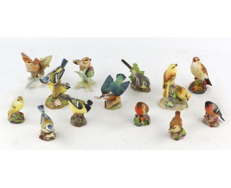 Thirteen Royal Worcester porcelain birds including ; Thrush No 3234, Yellow Hammers  No 3377, Kingfisher No 3235, Wood Warble
