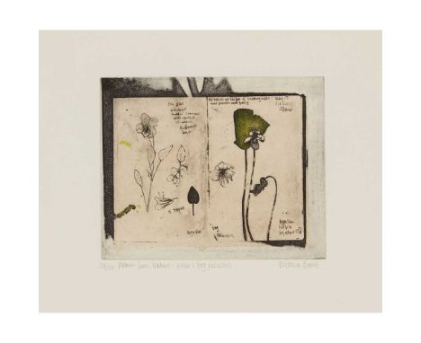 § VICTORIA CROWE O.B.E., F.R.S.E., R.S.A. (SCOTTISH 1945-) DRAWN FROM NATURE: VIOLET AND BOG PALUSTUS Intaglio, silkscreen an