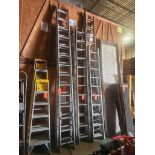 Extension Ladder
