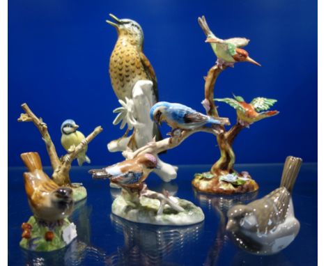 A KARL ENS STUDY OF A THRUSH, 25.5cm high and a collection of similar ceramic bird studies (6)