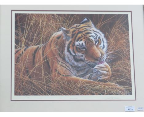 Ltd Edition Framed and mounted Tiger print by Jeremy Paul 'Moment of Calm'   301/395  Frame size 21 x 25. No postage availabl