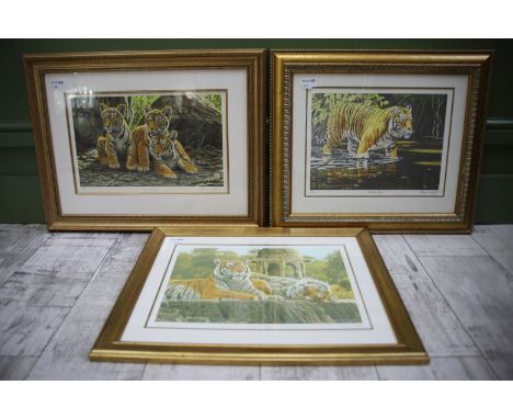 Three Ltd Edition Tiger Prints all framed and mounted under glass by Stephen Gayford largest measures 19 x 23 inches. See pho