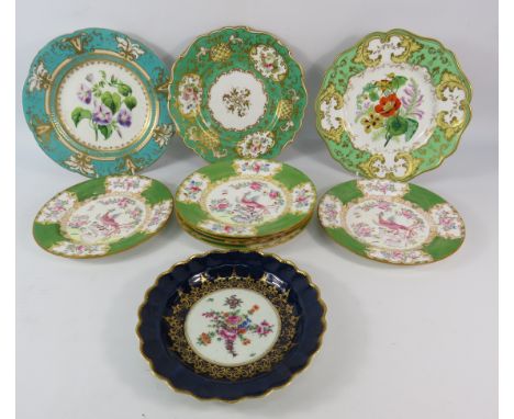 Antique handpainted botanical plates plus some by Mintons etc.