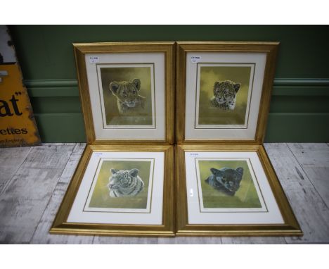 Two sets of Matched Pairs of Framed and mounted Prints of Big Cat Cubs. All Ltd edition by Stephen Gayford.   See photos for 