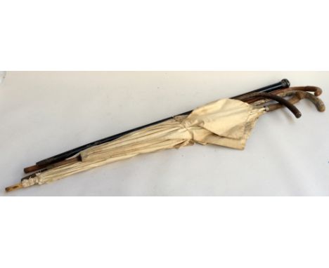 Two Edwardian lady's parasols, two cane walking sticks, and an ebony swagger stick with silver knopp, marks rubbed