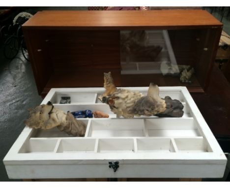 A small white painted display case, 45 x 60cm; a mid-century display case with glass shelf and doors, 80 x 23 x 33cmH togethe