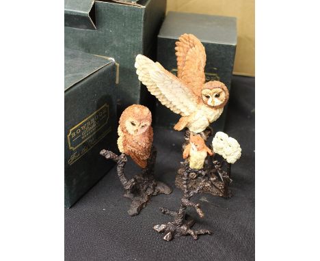 Bowbrook Studios Worcester figures, to include Long Eared Owl 1261, Barn Owl 1258, Lamp Chops 1042, Tawny &amp; Chicks, all b