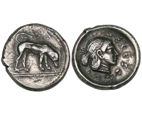 Segesta, didrachm, c. 475-450 BC, hound standing right with head lowered, on double exergual line, rev., ΣΕΓΕΣΤΑZΙ-Β, head of