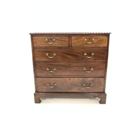Early 19th century mahogany chest of drawers, with gadroon moulded edge over two short and three long graduated drawers, with