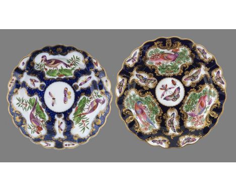 A CHAMBERLAIN WORCESTER SCALE BLUE GROUND PLATE, C1800&nbsp;painted with fancy birds, scalloped gilt rim, 20.5cm diam and a l