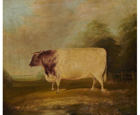 BRITISH SCHOOL, EARLY 19TH C PORTRAIT OF A SHORTHORN COW IN A&nbsp; LANDSCAPE&nbsp;oil on canvas, 49 x 59cm, rosewood frame  