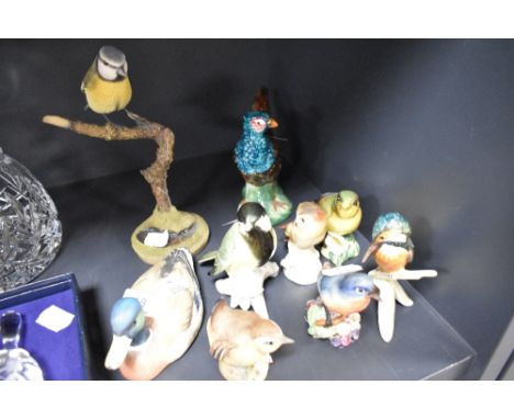 A selection of figural bird studies including Royal Worcester Coalport and Goebel