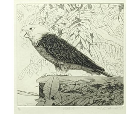 Elizabeth Butterworth (British, b.1949), Parrot (plate 16), etching, signed in pencil, artists proof, H.23cm W.19.5cm, frame 