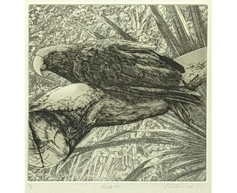 Elizabeth Butterworth (British, b.1949), Parrot (plate 20), etching, signed in pencil, artists proof, H.23cm W.19.5cm, frame 