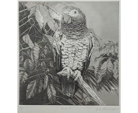 Elizabeth Butterworth (British, b.1949), Parrot (plate 18), etching, signed in pencil, artists proof, H.23cm W.19.5cm, frame 
