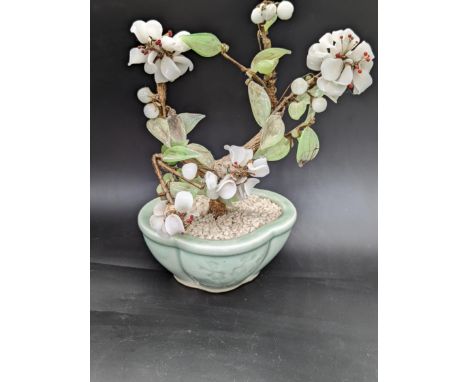 A jade and coral plant in celadon pot