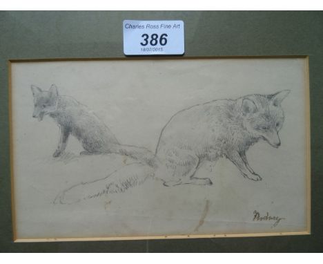Pencil on paper, a study of a fox cub entitled 'Rodney', attributed to CHC Baldwyn, 11cm x 19cm in a gilt glazed frame.