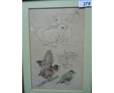 A watercolour and pencil drawing on paper of Merlins,unsigned (but featuring Baldwyn's handwriting in pencil), 21cm x 13.5cm 