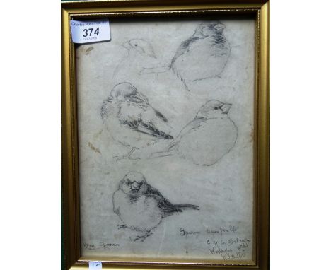 A pencil drawing on paper, 'House Sparrows', signed CHC Baldwyn, Woolhope Road, Worcester, 24cm x 17.5cm in a gilt glazed fra