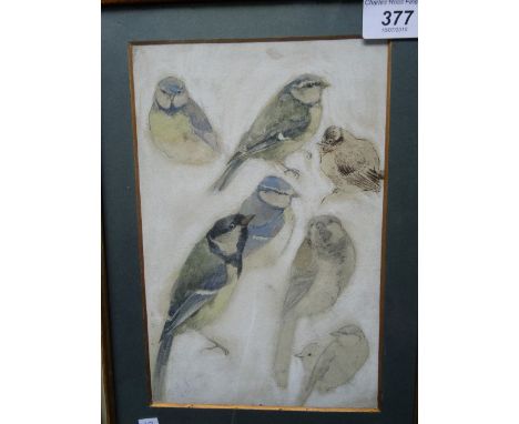 A pencil and watercolour study of blue tits, unsigned, 22cm x 14cm in a glazed gilt frame.