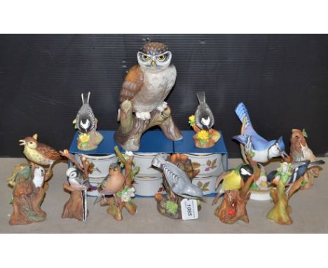 A Crown Staffordshire Little owl model; others, a Nuthatch,a Bluetit, a Blue Jay, a Tree Creeper, a Bullfinch, a Longtail tit
